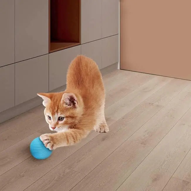 Cat Interactive Ball Smart Cat Toys Indoor Automatic Rolling Magic Ball Electronic Interactive Cat Toy Cat Game Accessories